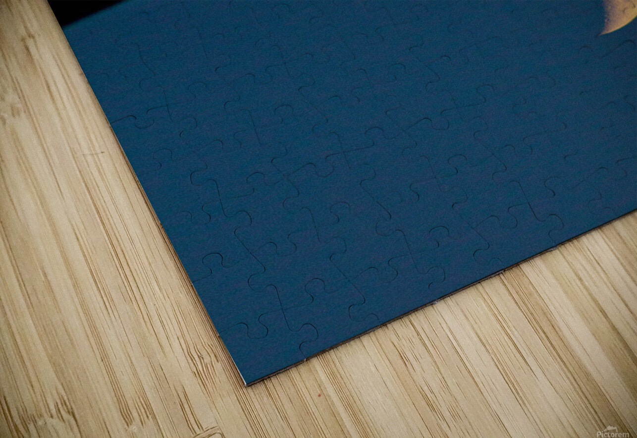 IMG 6347 CineshotXfilm Puzzle