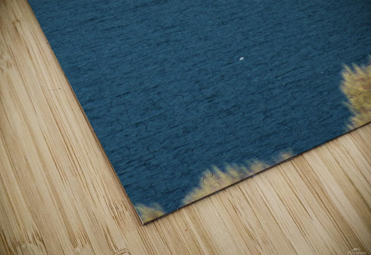 IMG 5280 CineshotXfilm Puzzle