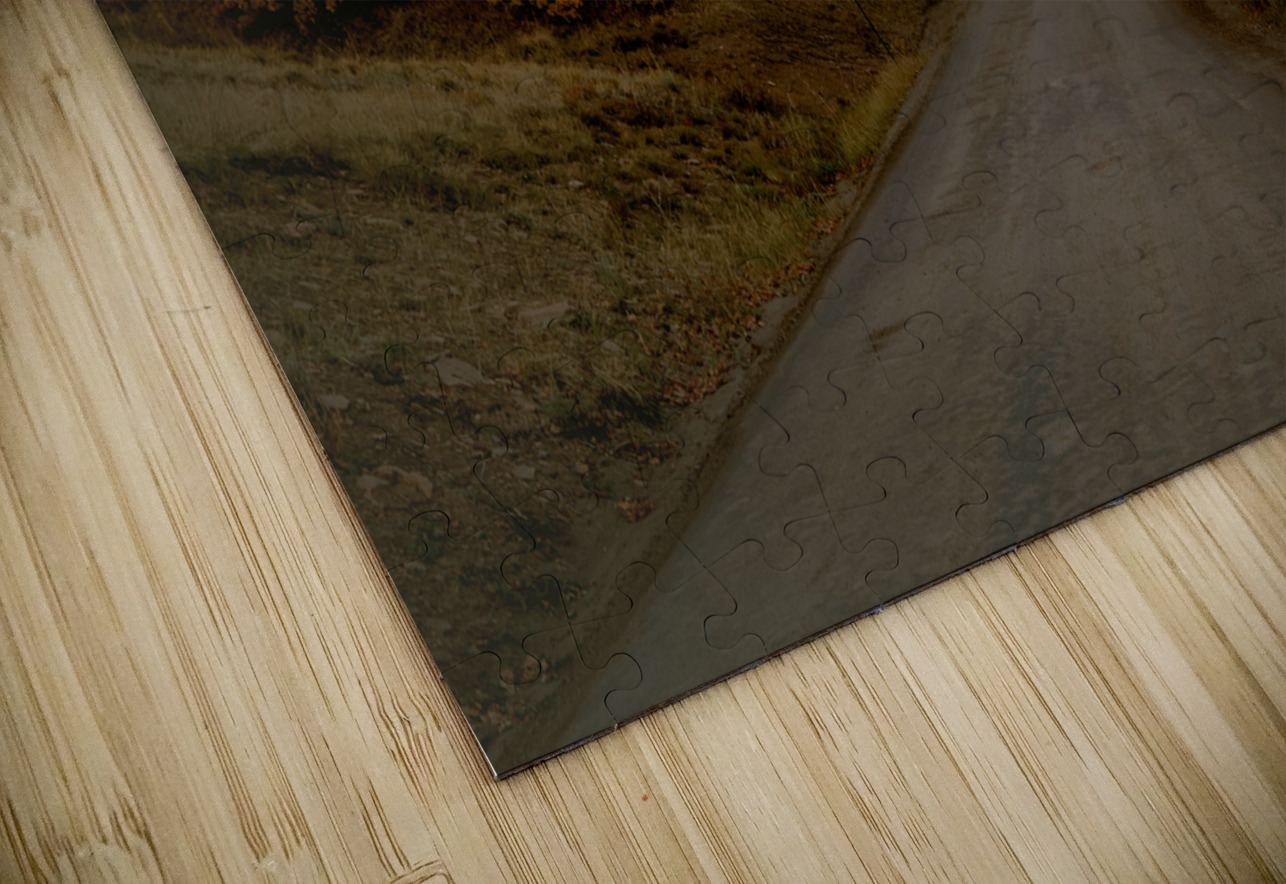 Colorado Backroads in Autumn Norma Brandsberg Photography Puzzle