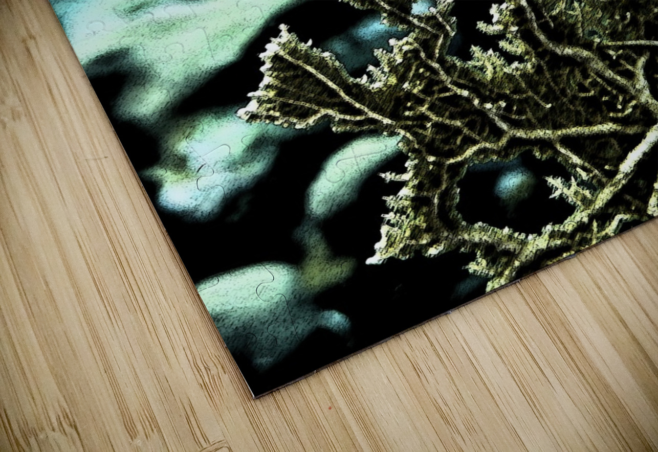 Solidity DeepEarth Photography Puzzle