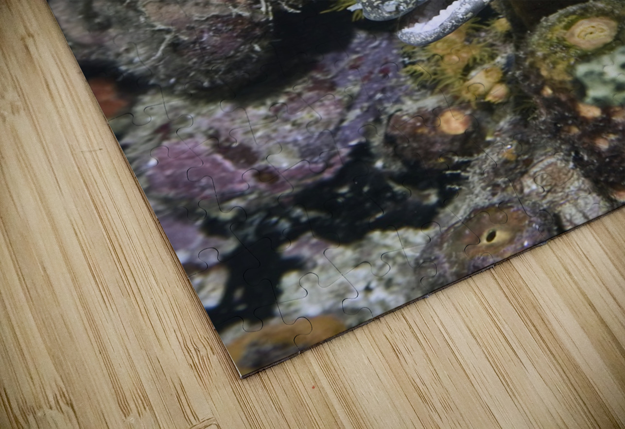 Protective DeepEarth Photography Puzzle