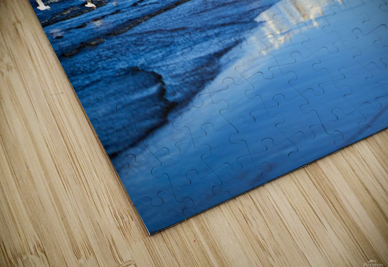 Birds Of The Blue    I Lynnette Brink Puzzle