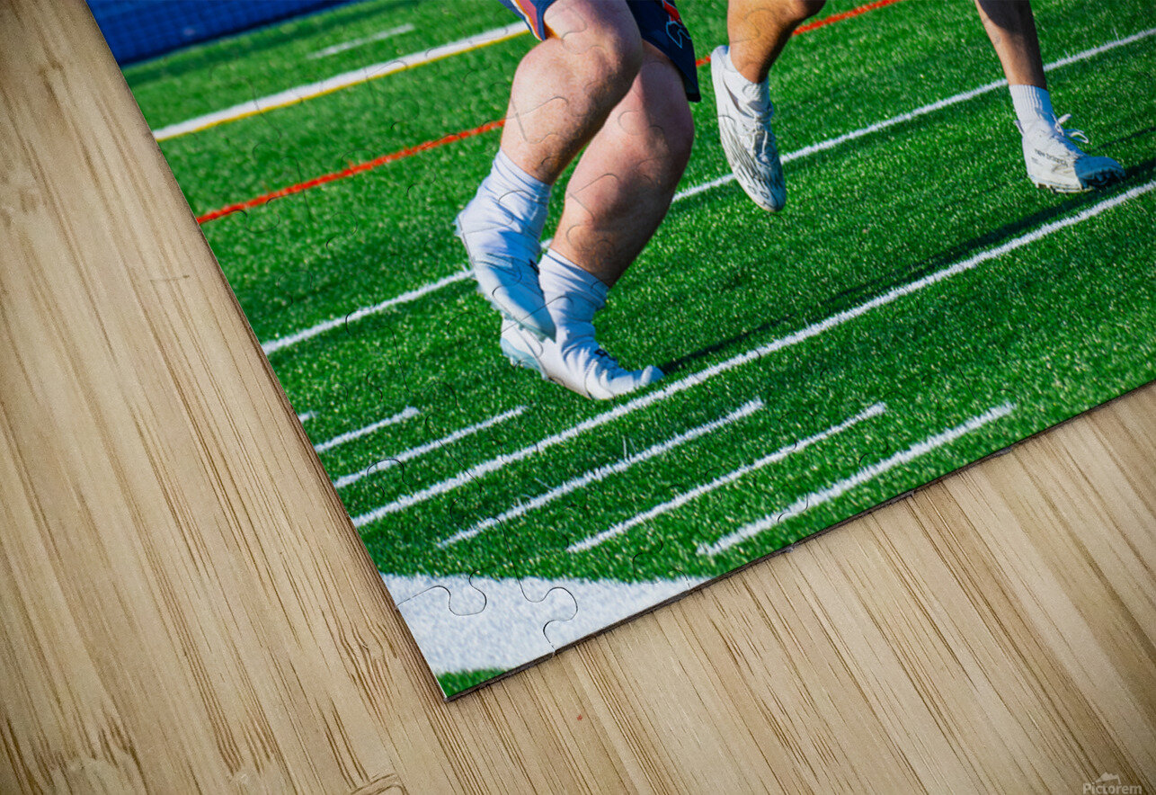  DSC2312 Enhanced NR Jerrid Lavoie Puzzle