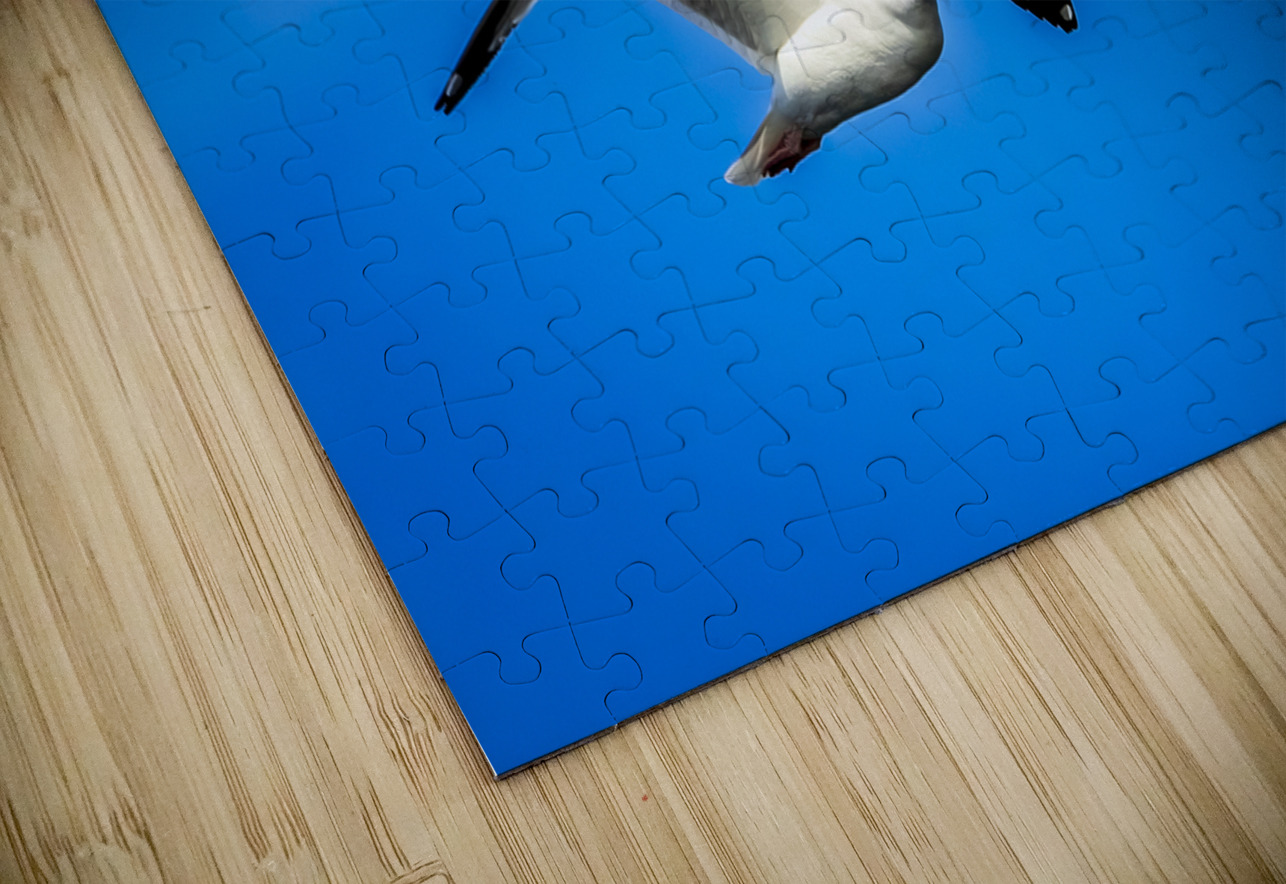 Store Alaska5L3A7673 Tono Chavez Puzzle