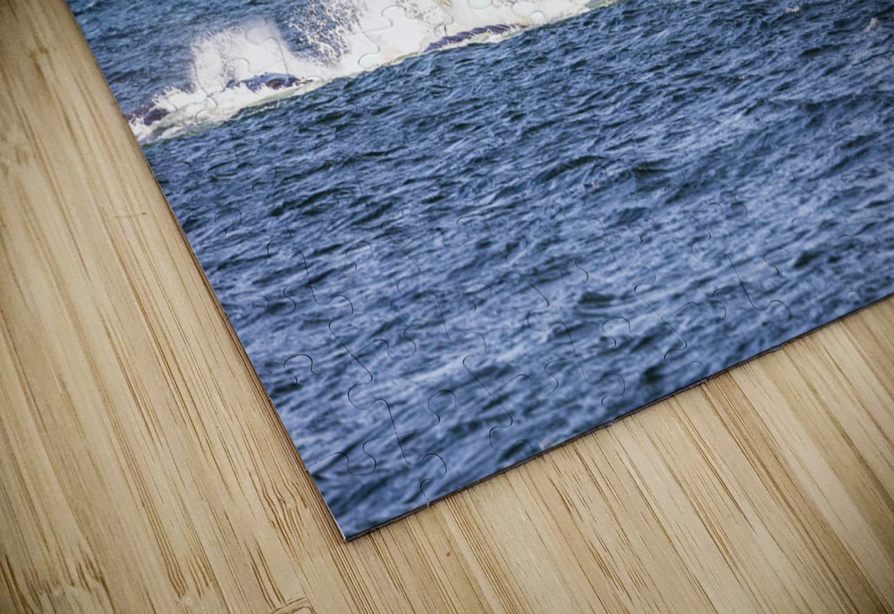 Store Alaska5L3A7688 Tono Chavez Puzzle