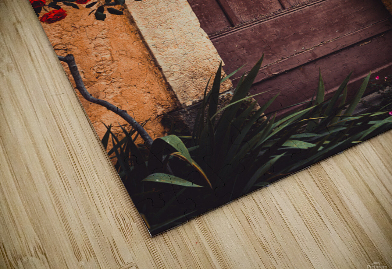 Rustic doorway Valbonne France maggie mccall Puzzle
