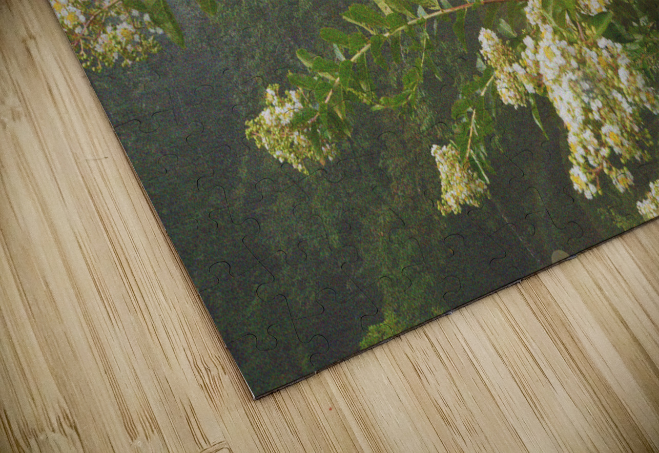 Crepe Myrtle Variation 3 OS PIXquisate Puzzle