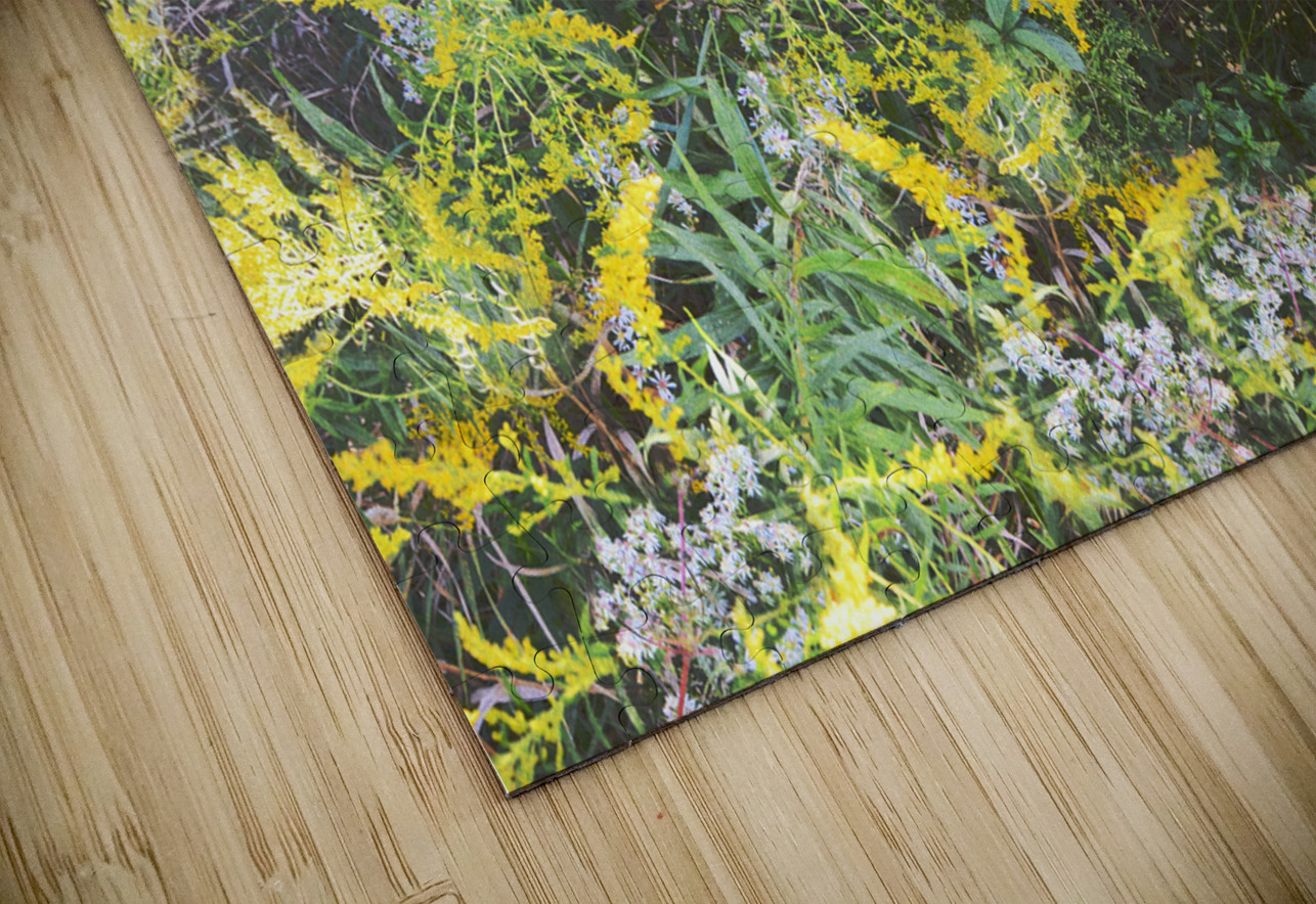 Goldenrod Version 3 OS PIXquisate Puzzle