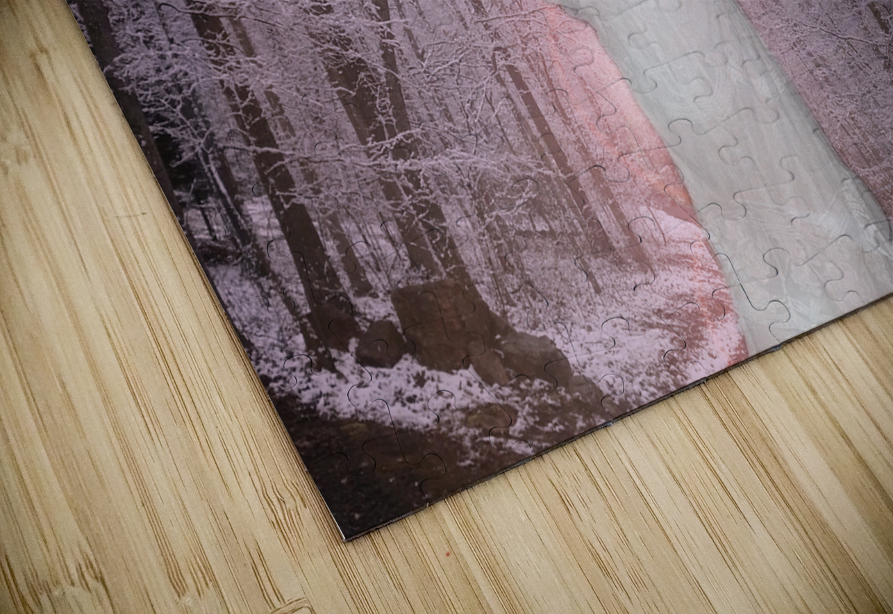 Gypsy Winter Road OS PIXquisate Puzzle