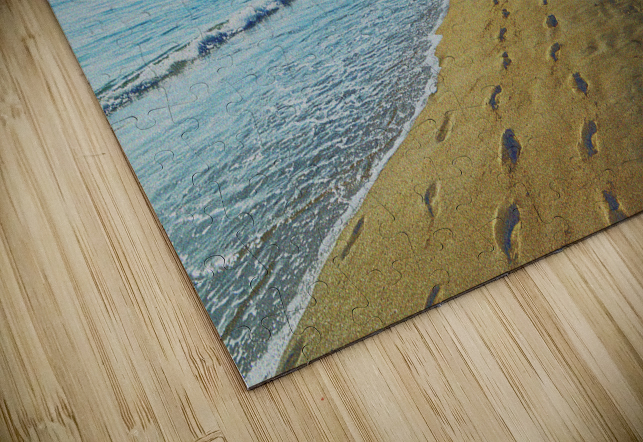 Lake Worth Beach OS PIXquisate Puzzle