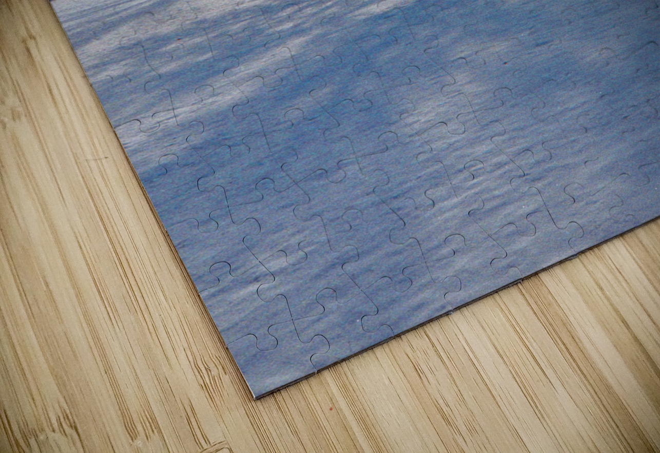 Walnut Tree Snow and Shadow OS PIXquisate Puzzle