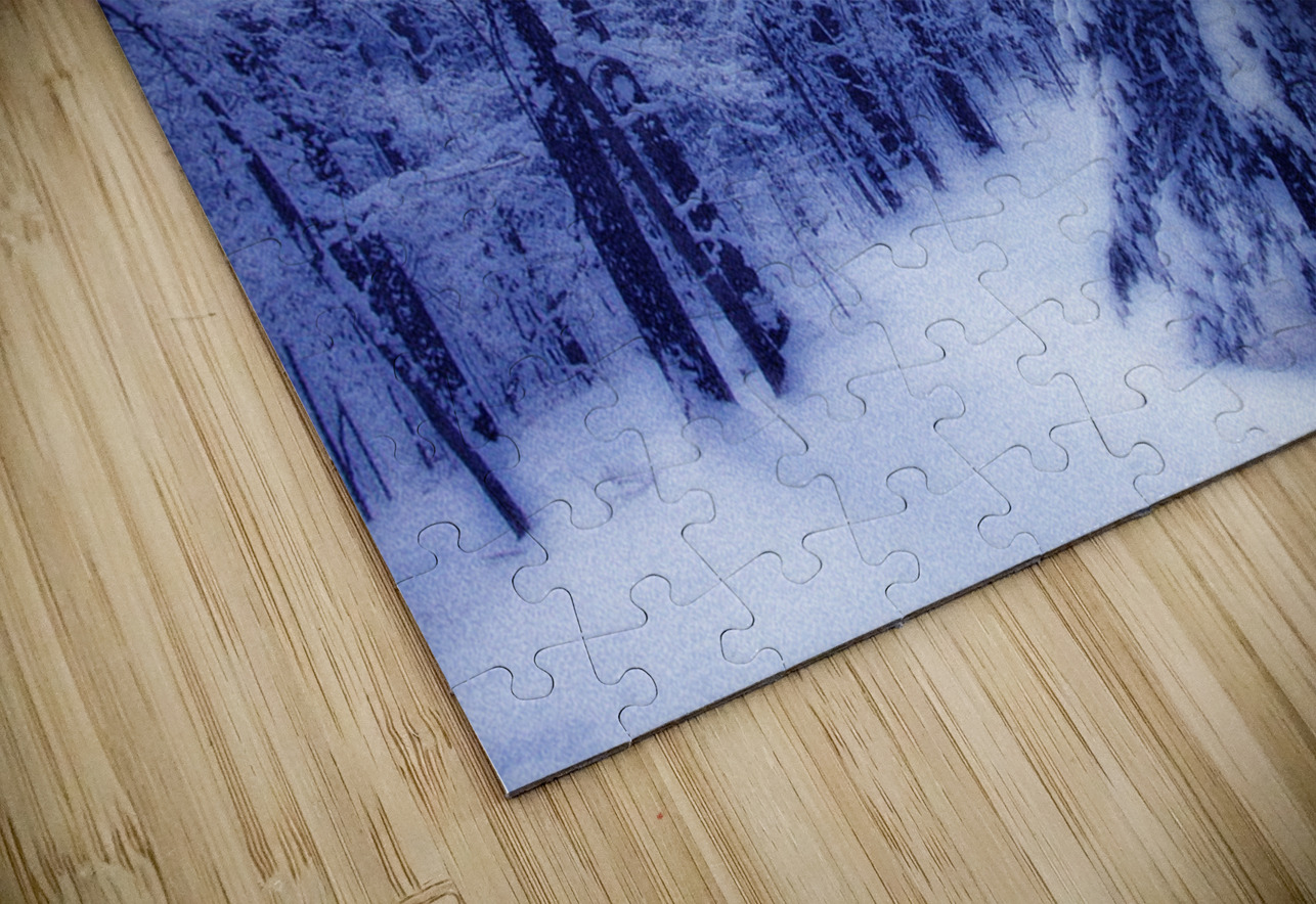 Winter Glow OS PIXquisate Puzzle