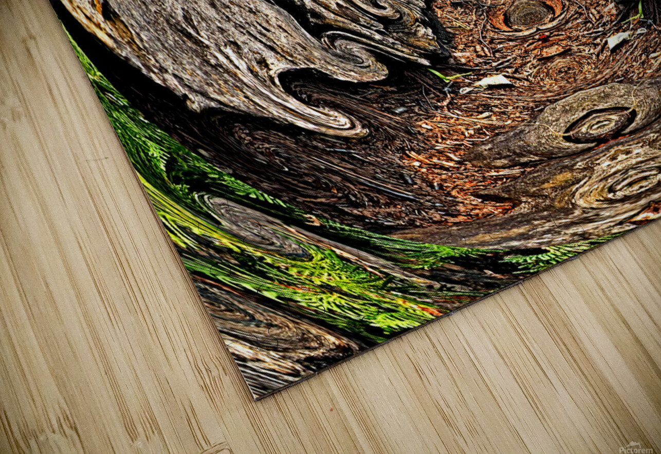 Jungle Gate Flodor Puzzle