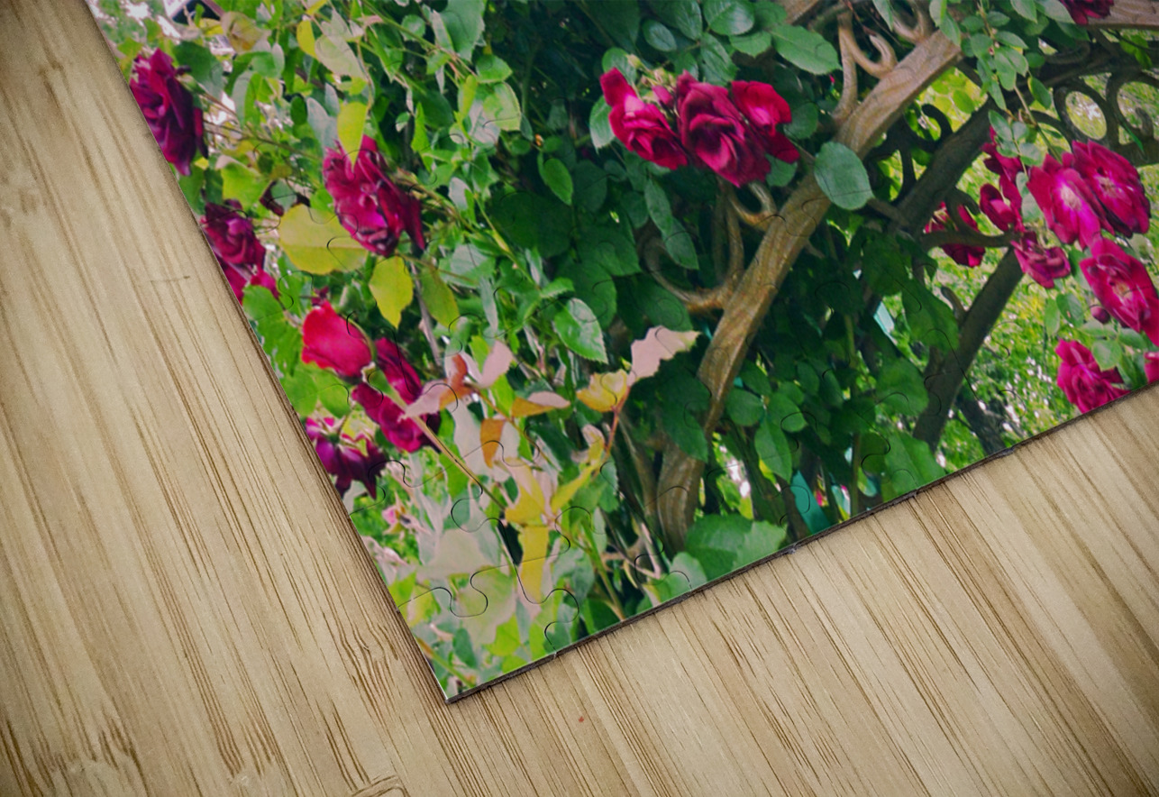Summer Rose Arbor edit 4 Original size PIXquisate Puzzle