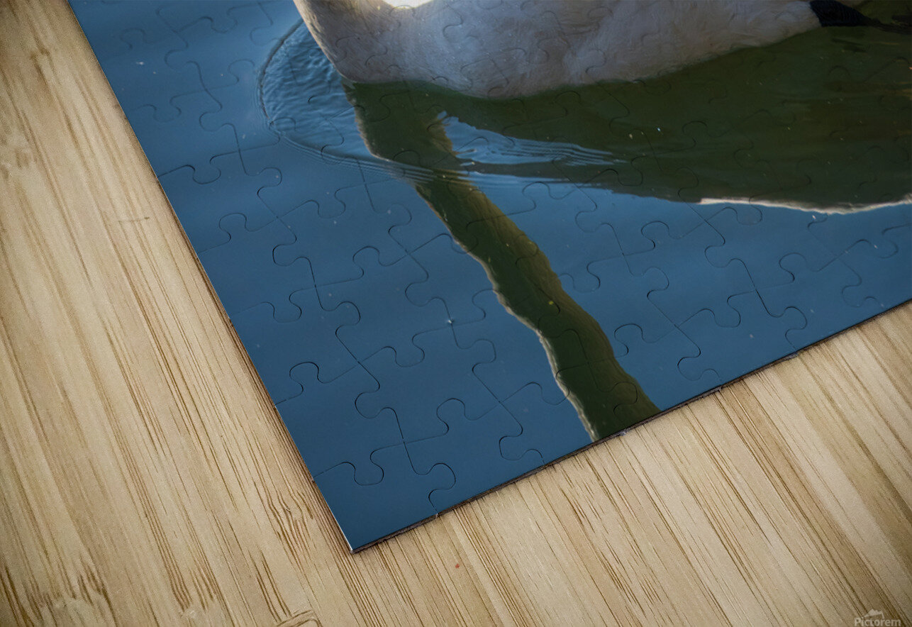 Swan 03 jarrodswilliams Puzzle