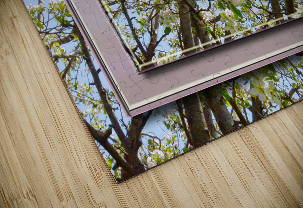 Apple Blossoms Version 3  PIXquisate Puzzle