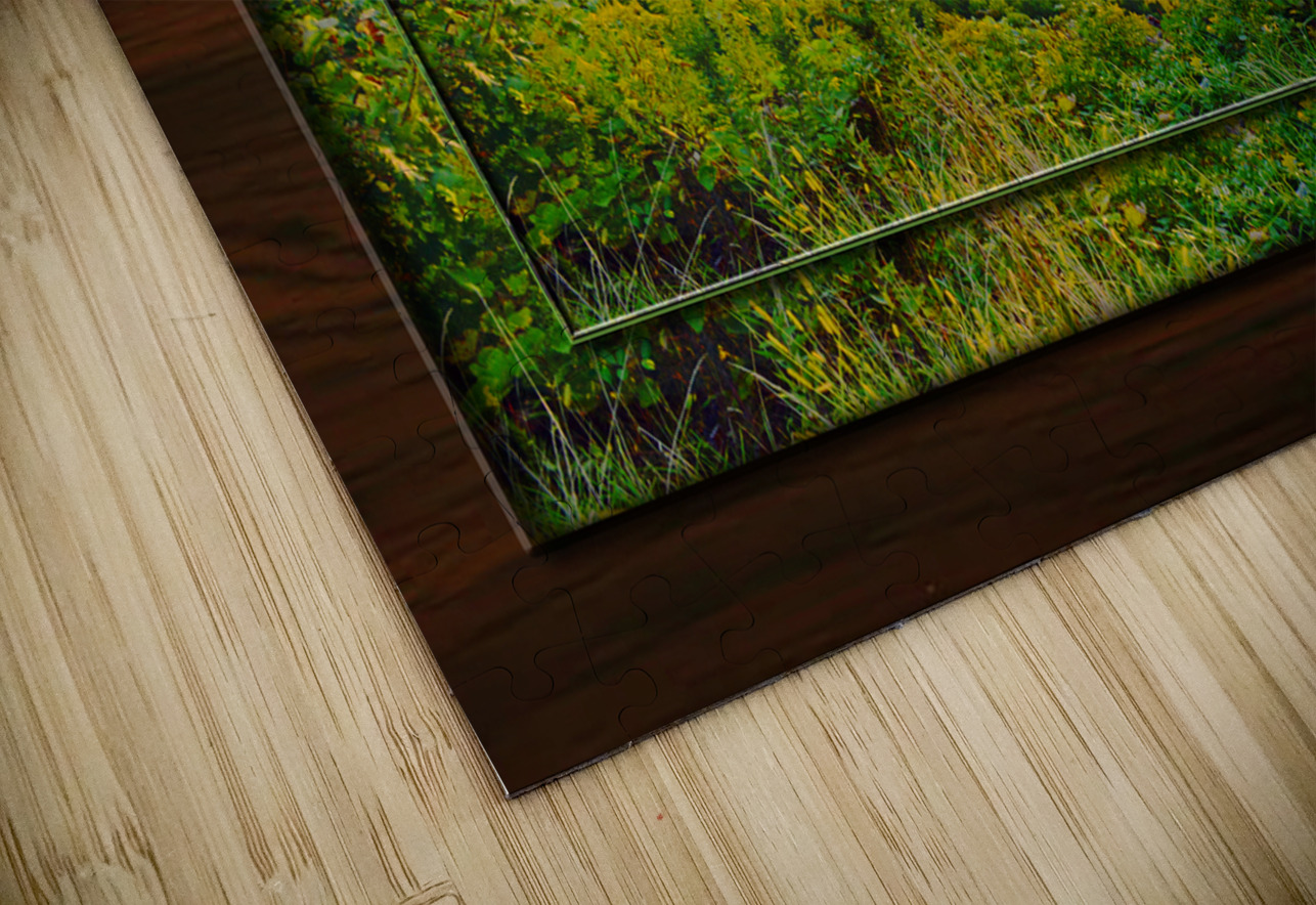 Franklin Morning TF PIXquisate Puzzle