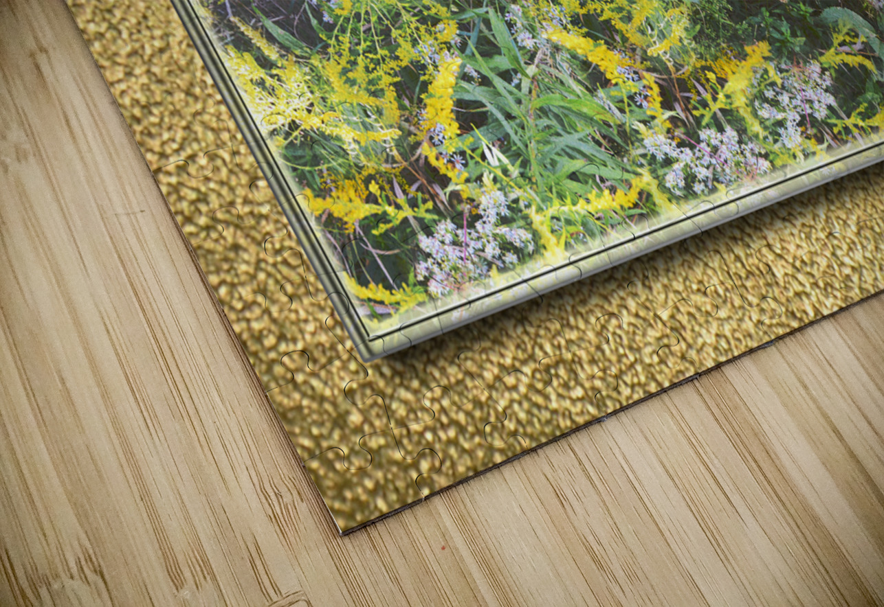 Goldenrod Vers 3  PIXquisate Puzzle