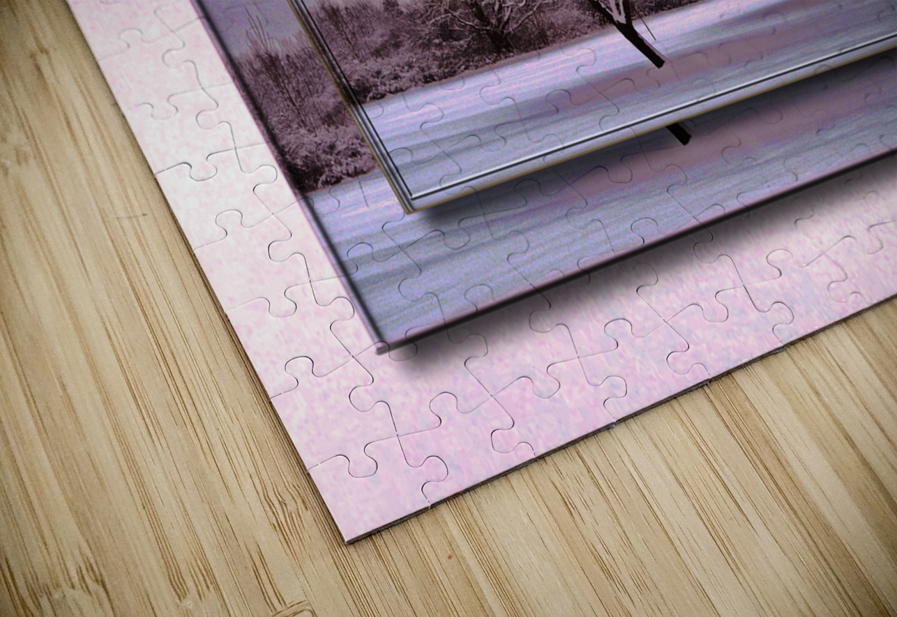 January Trees Version 2 DF PIXquisate Puzzle