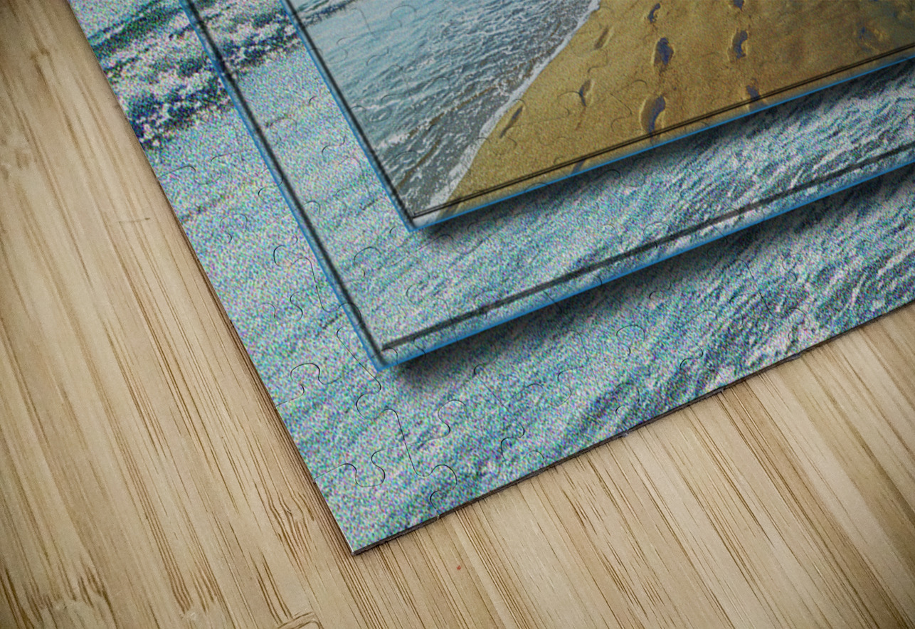 Lake Worth Beach DF PIXquisate Puzzle