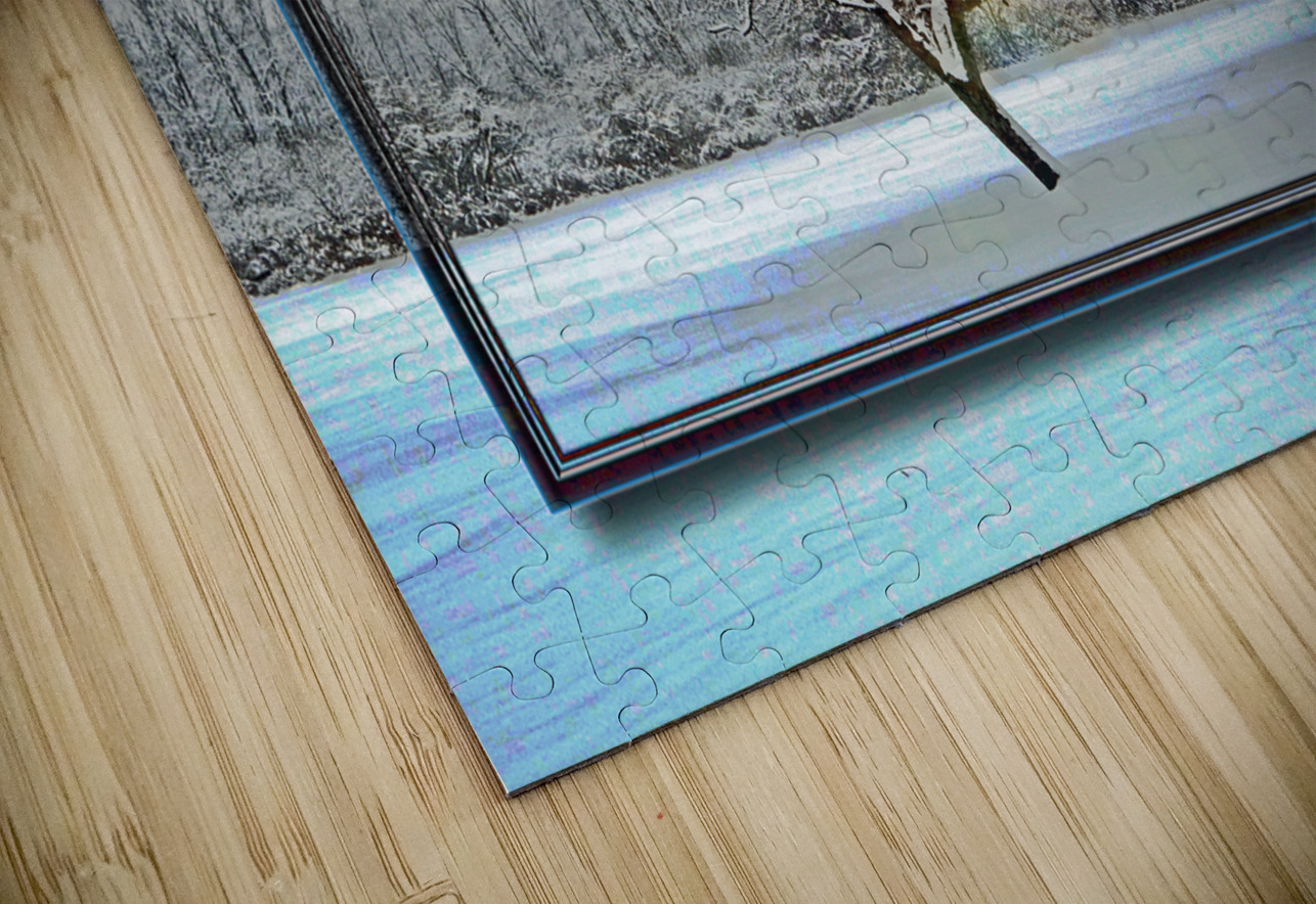 Two Winter Trees Version 2  PIXquisate Puzzle