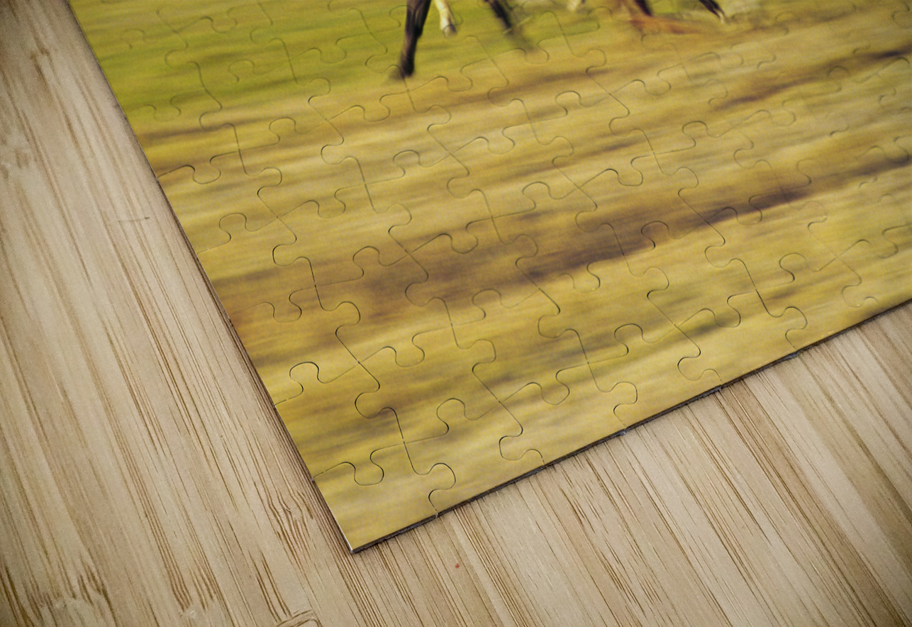 Herd of horses running Oregon United States 102763 Panoramic Images Puzzle