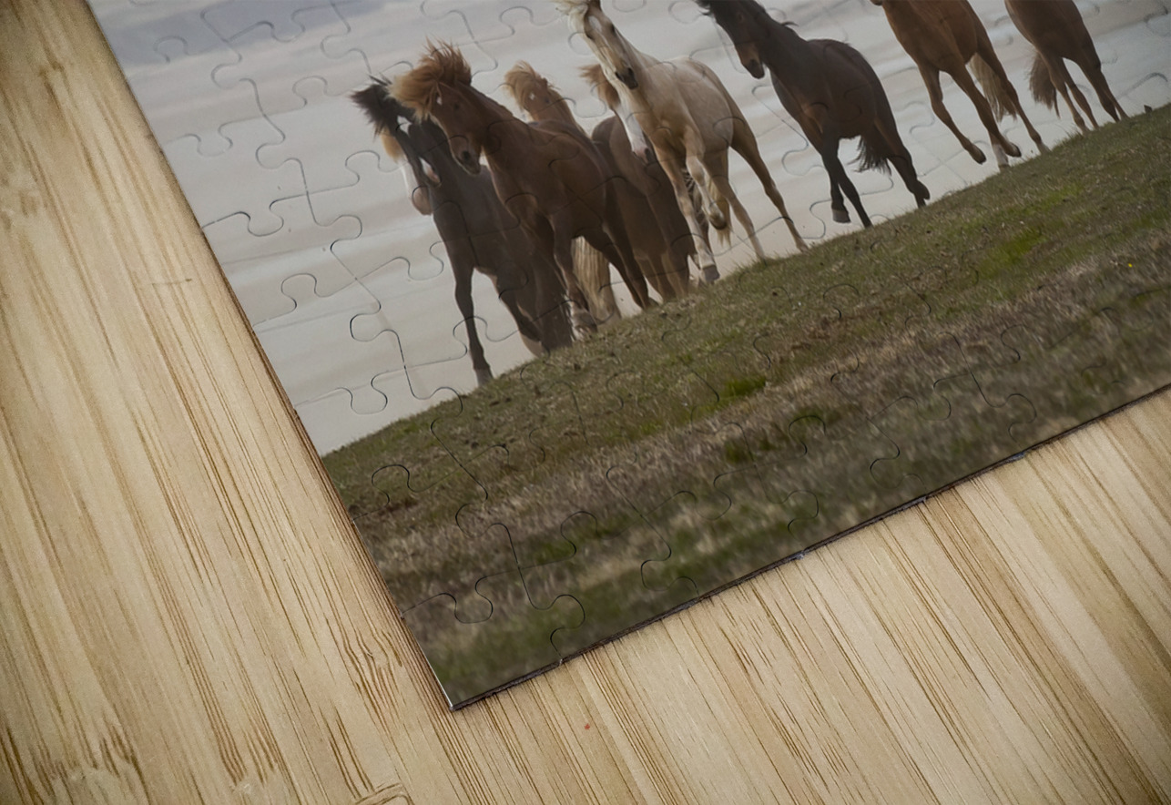 Herd of Icelandic Horses running free Skagafjordur Iceland 168756 Panoramic Images Puzzle