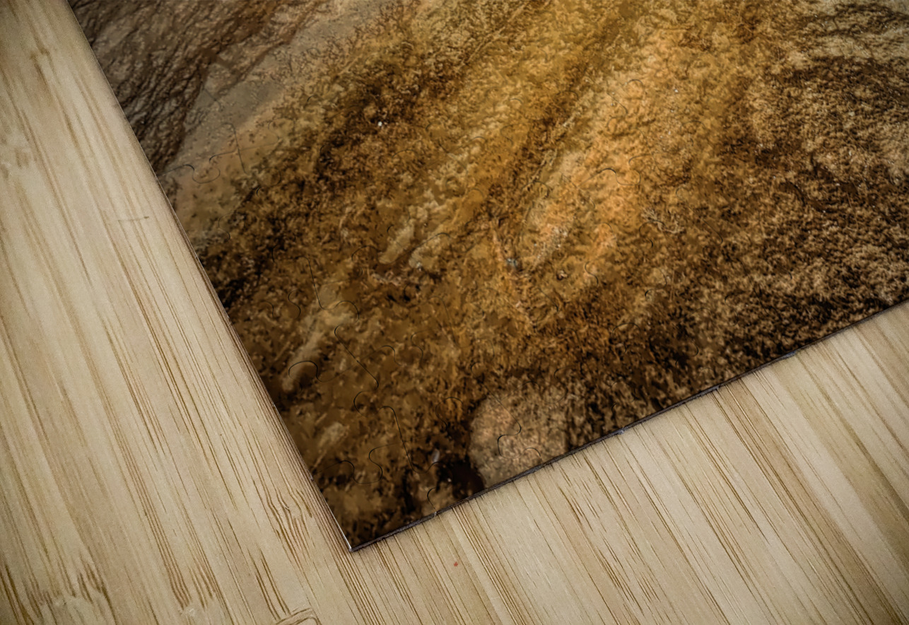 Yellowstone  Hot Springs Pool Tree Left Behind Norma Brandsberg Photography Puzzle