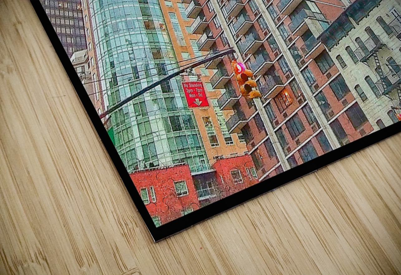 V1238 Natalie Stanislavsky Puzzle