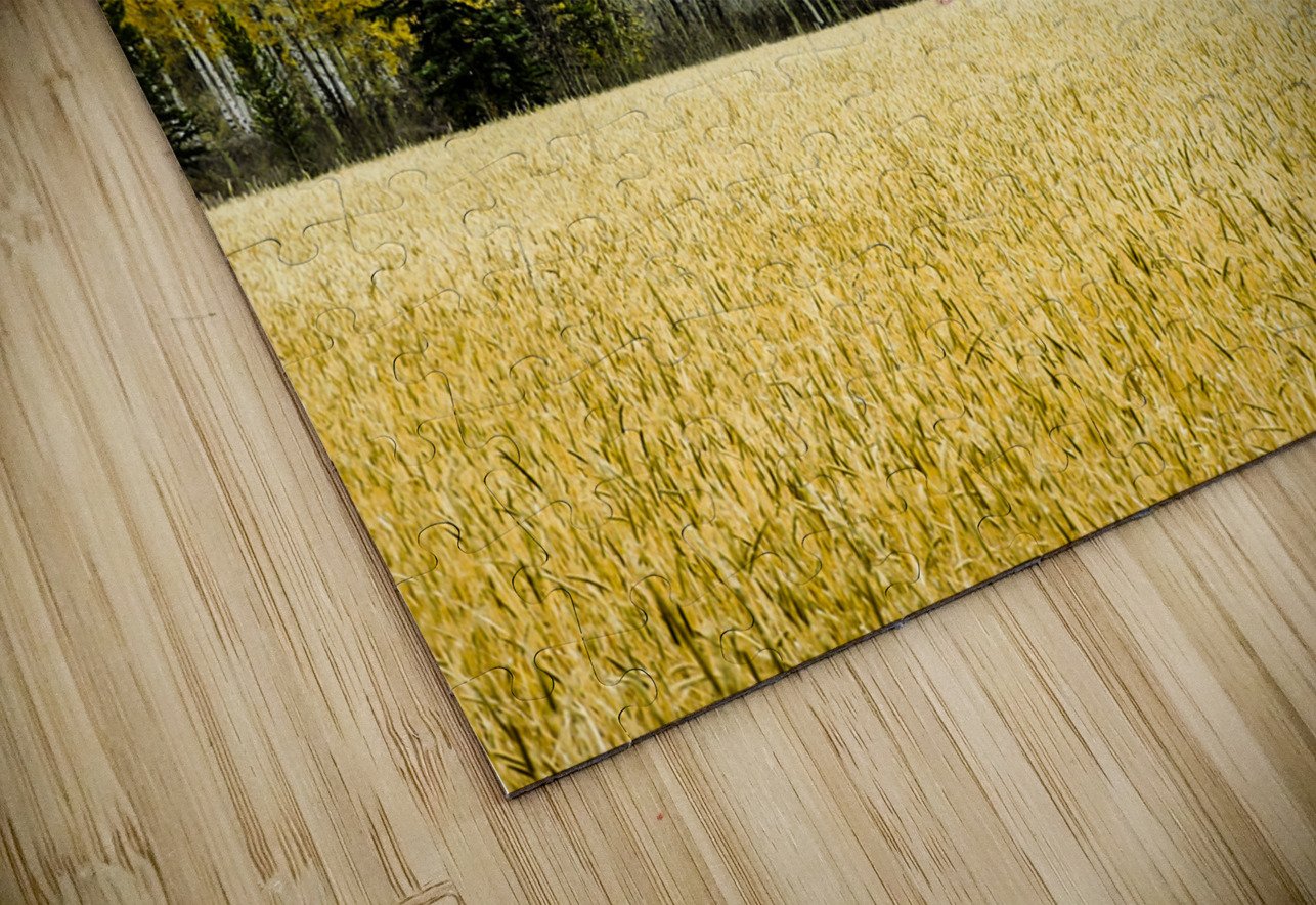 Teton Red Umbrella Norma Brandsberg Photography Puzzle