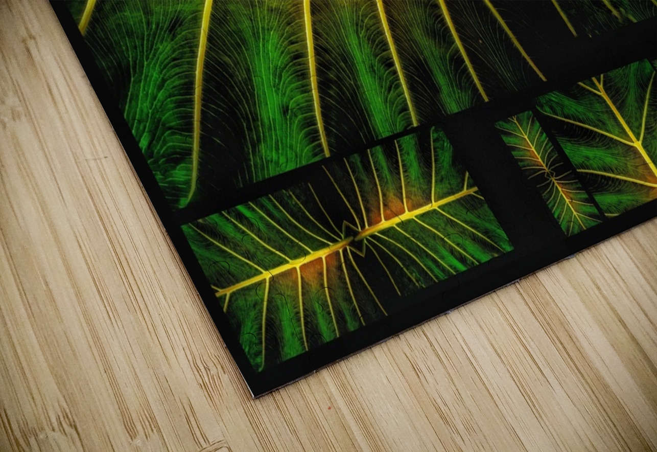 V1239 Natalie Stanislavsky Puzzle