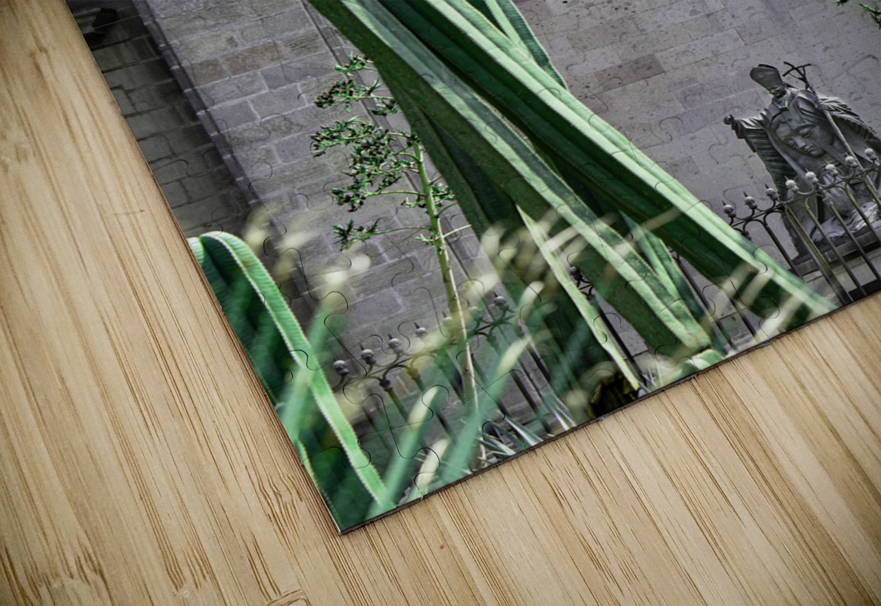 La Cathedrale Metropolitaine de Mexico Jean Vachon Photographe Puzzle