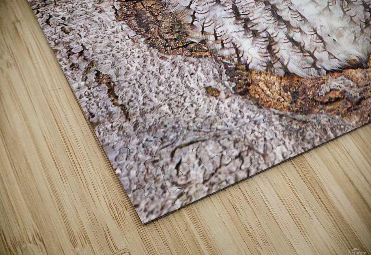 Duc1 SHARPEYE Puzzle