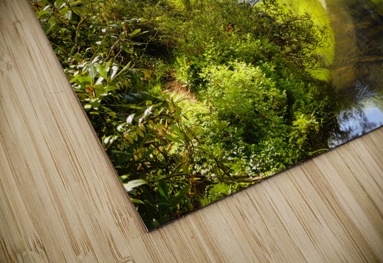 Linville River Bridge NC Shelia Hunt Photography Puzzle