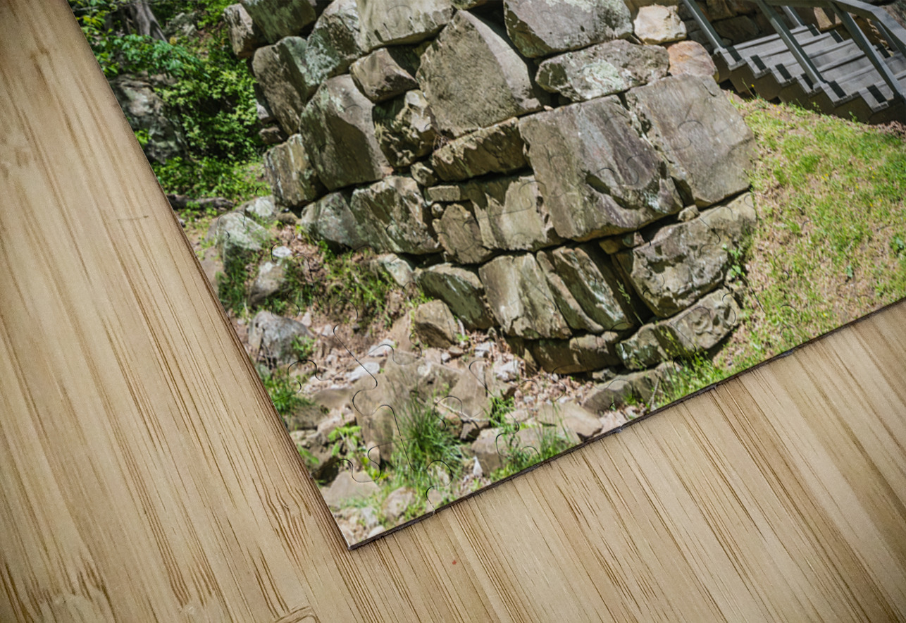 Newlees Iron Furnace - Cumberland Gap National Park - Virginia Gary Whitton Puzzle