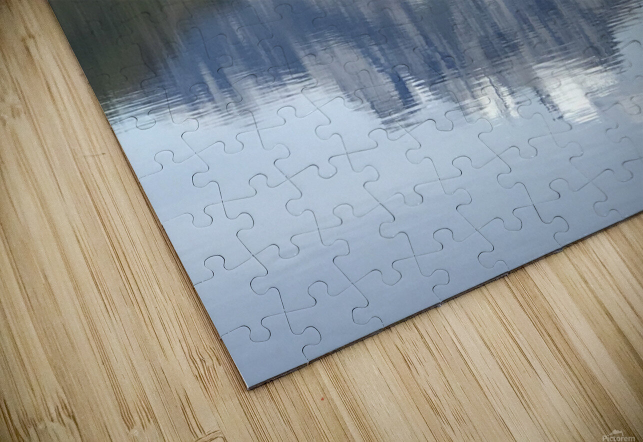 Whiteswan Lake Eyespy Puzzle