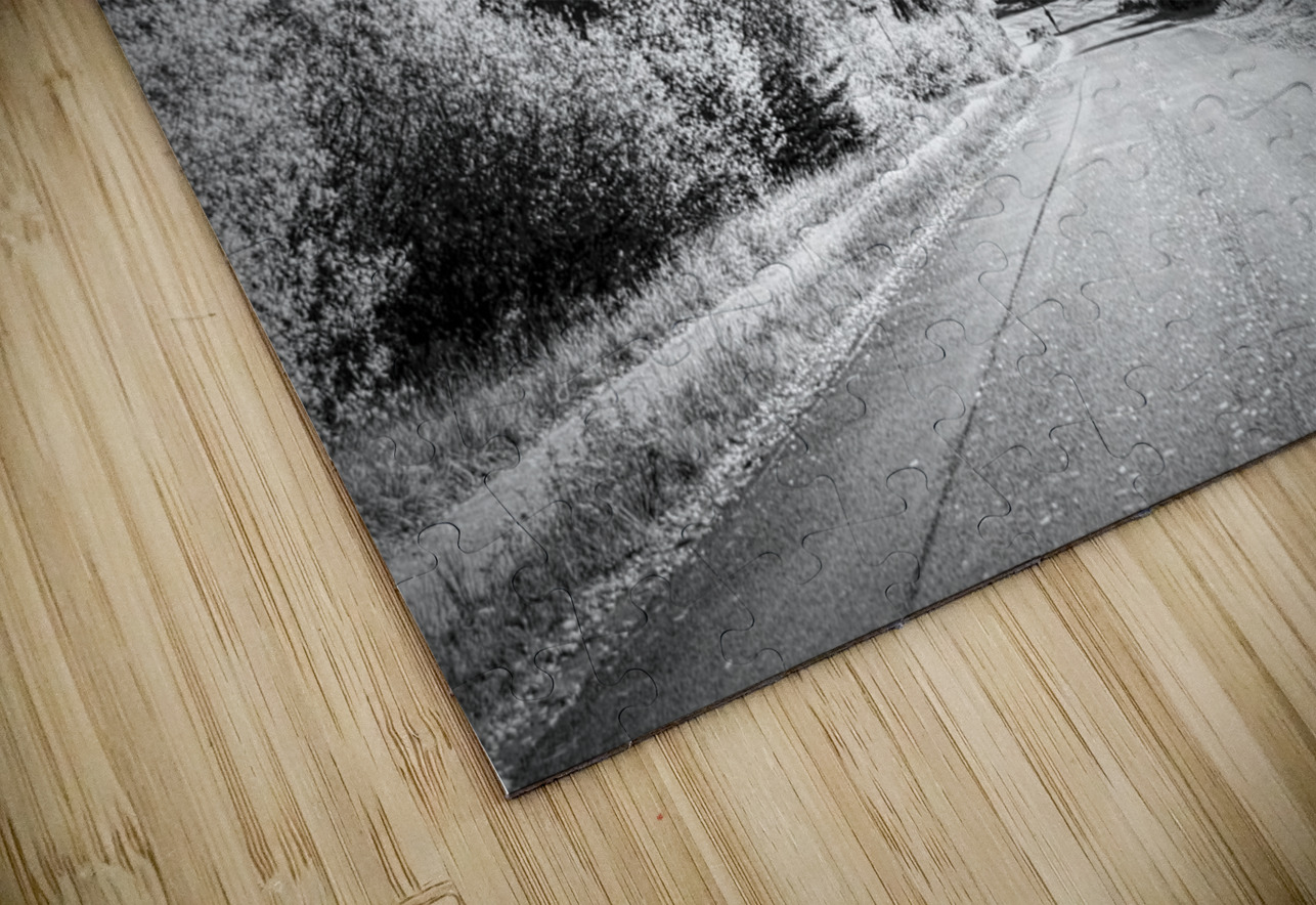 Aspen Backroad Mountain Runner Norma Brandsberg Photography Puzzle