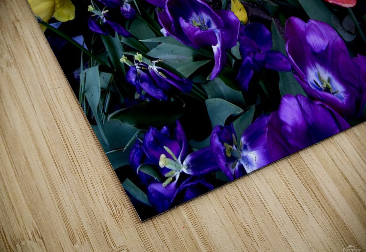 Black Eye Limone Photography Puzzle