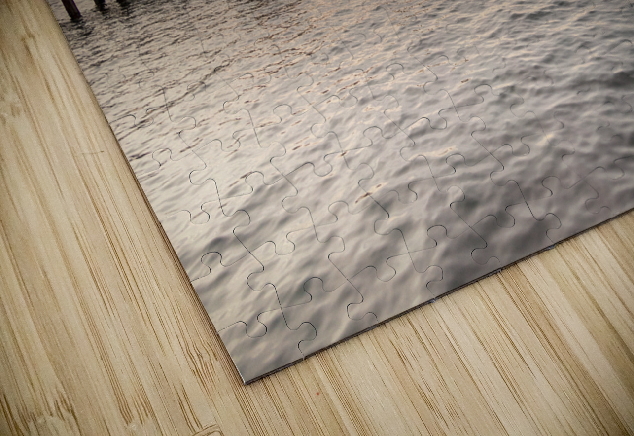 Store Florida 5L3A6539 Tono Chavez Puzzle