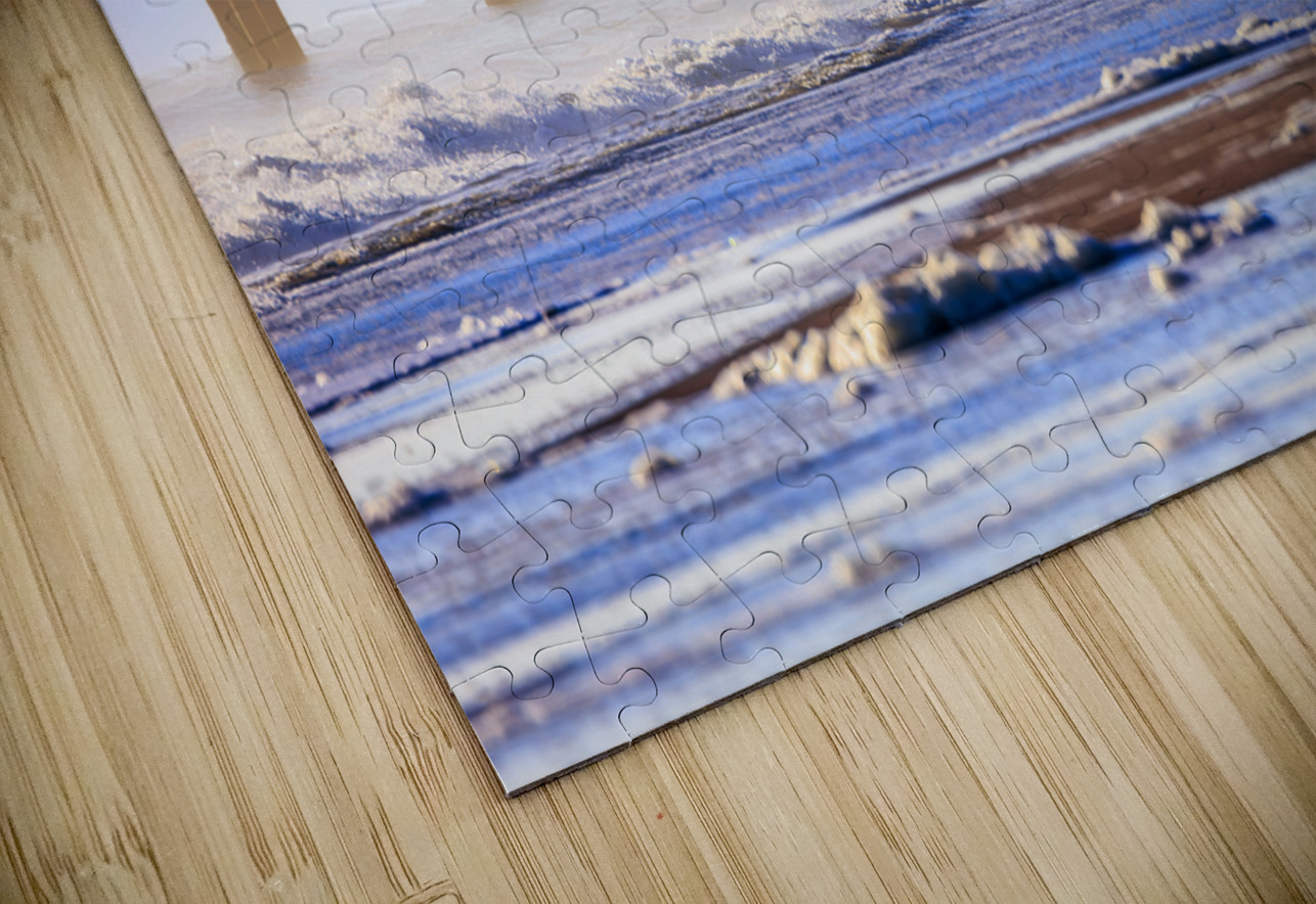 Store Florida 5L3A9303 Tono Chavez Puzzle