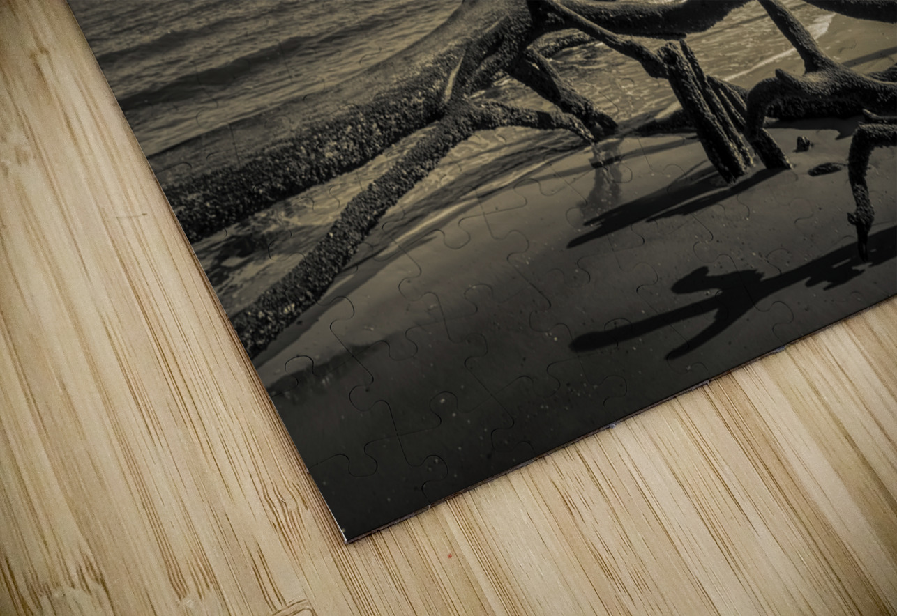 Hunting Island Beach Driftwood Shadows Norma Brandsberg Photography Puzzle