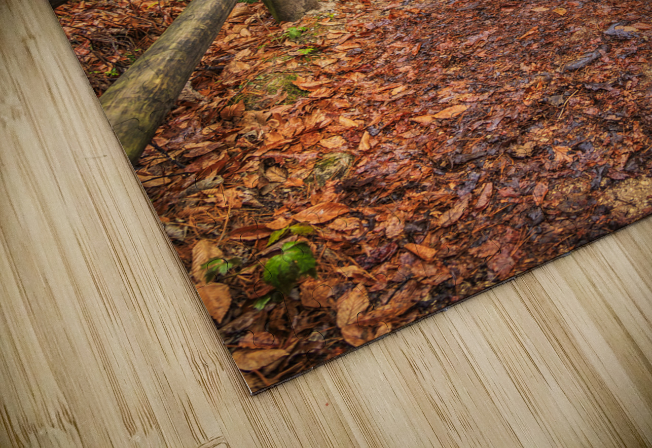 Store Georgia 5L3A5708 Tono Chavez Puzzle