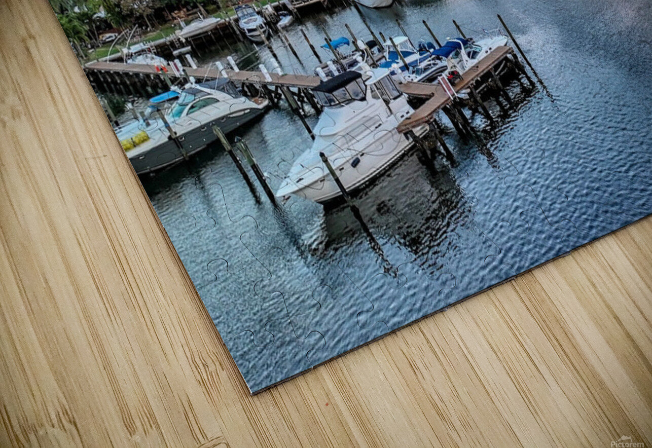 The Diplomat 10 DomaraArtscape Puzzle