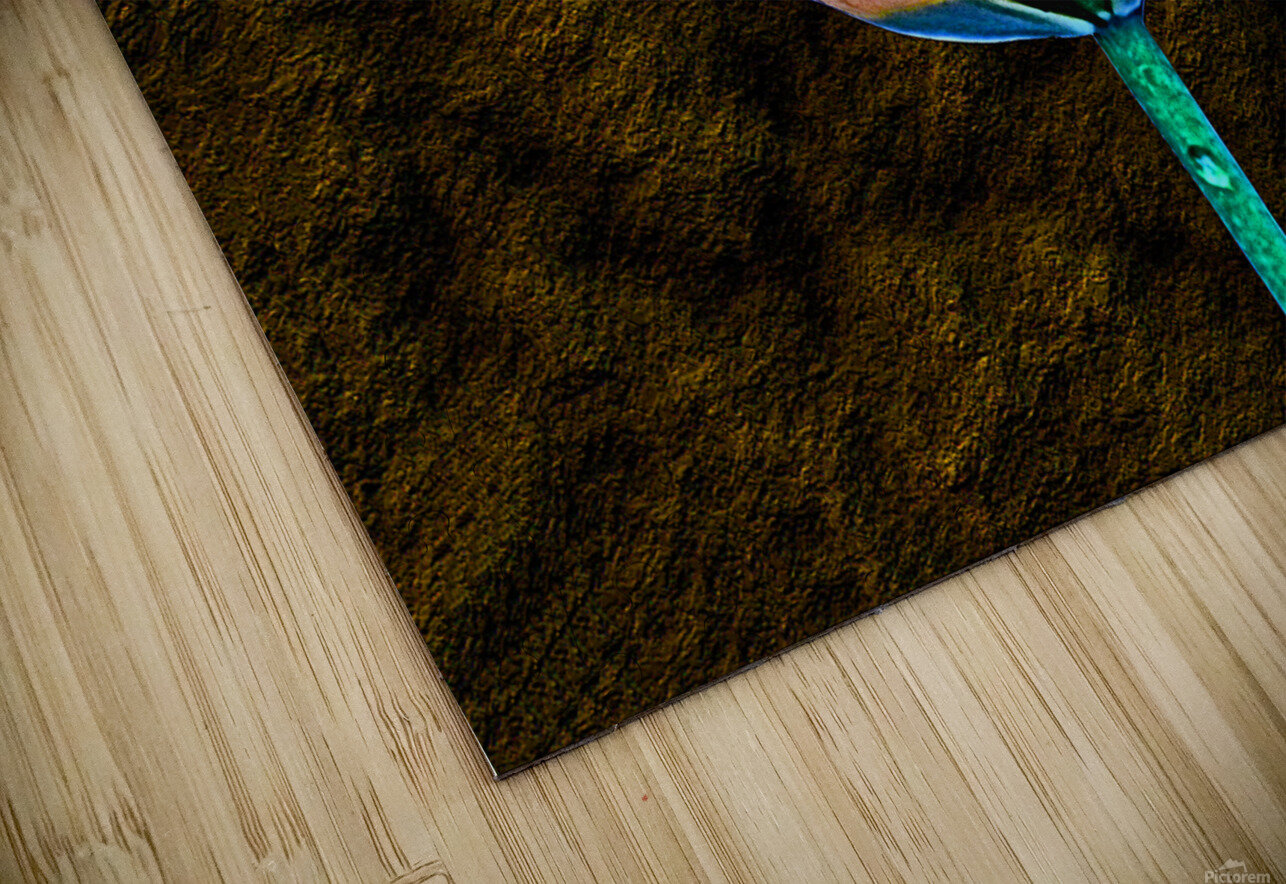 Tulip Art ImagesAsArt By John Louis Benzin Puzzle