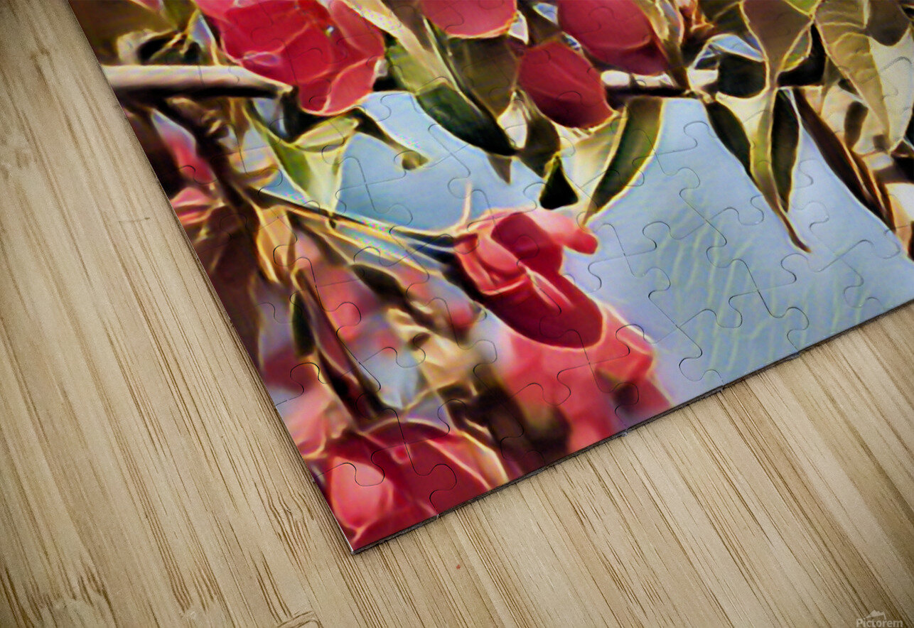 Malus Flower 1 Flodor Puzzle