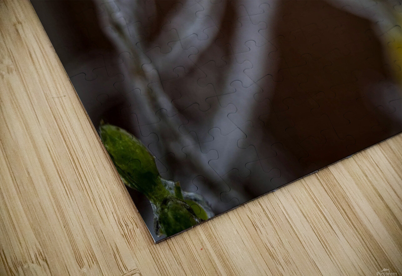 frozen 1 DomaraArtscape Puzzle