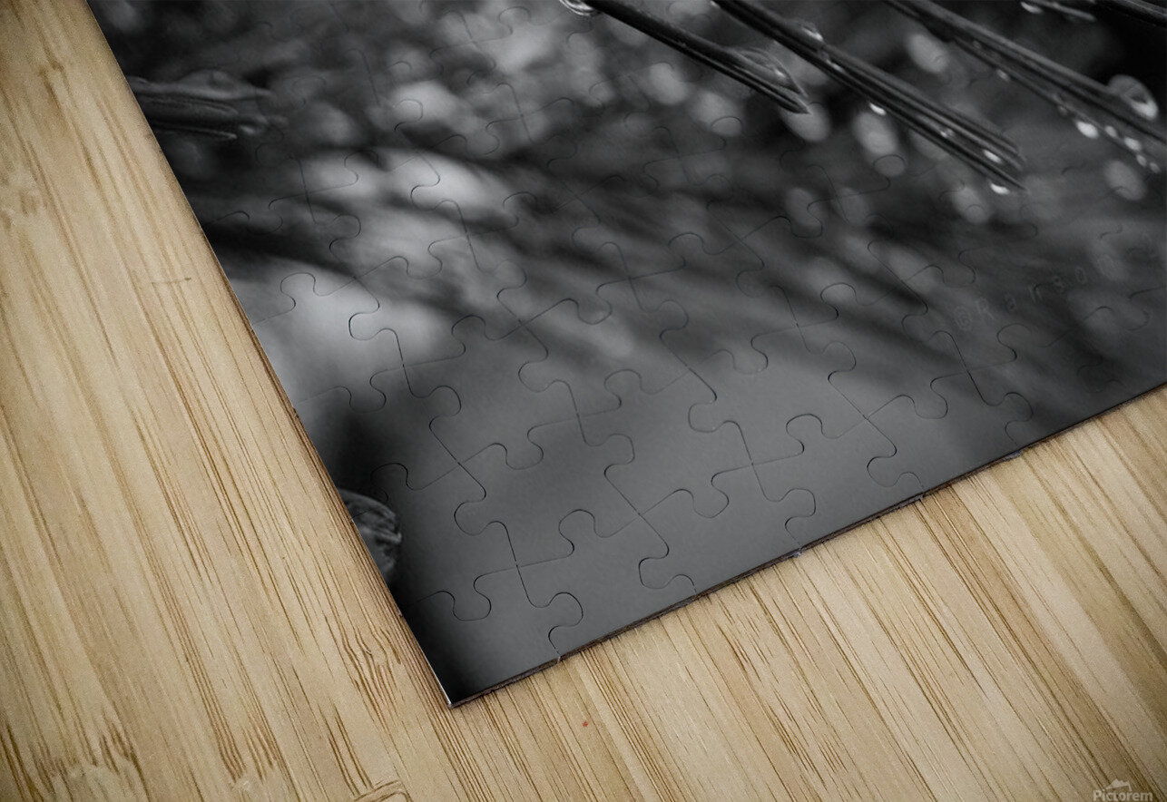 Wet pines DomaraArtscape Puzzle