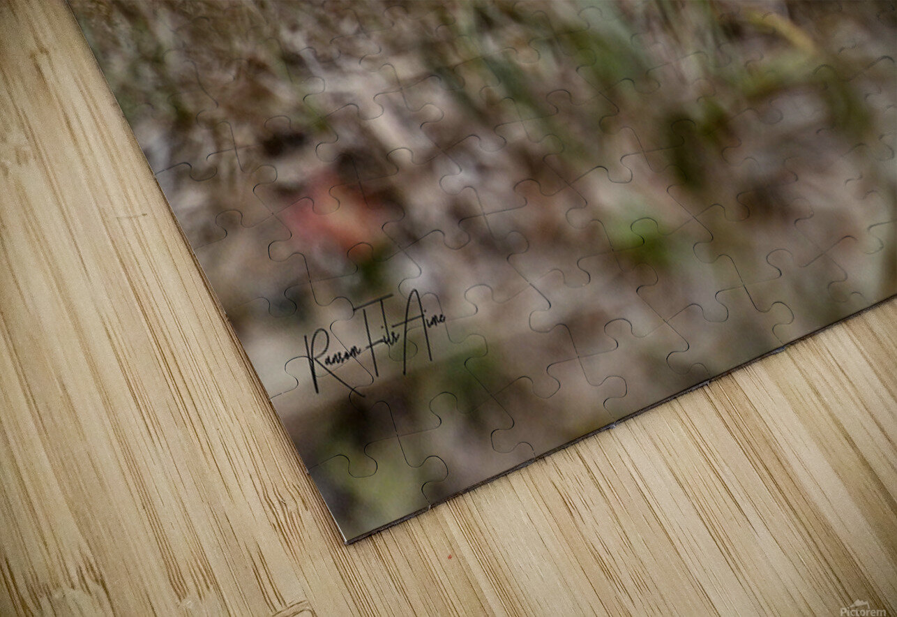 Celery field   DomaraArtscape Puzzle