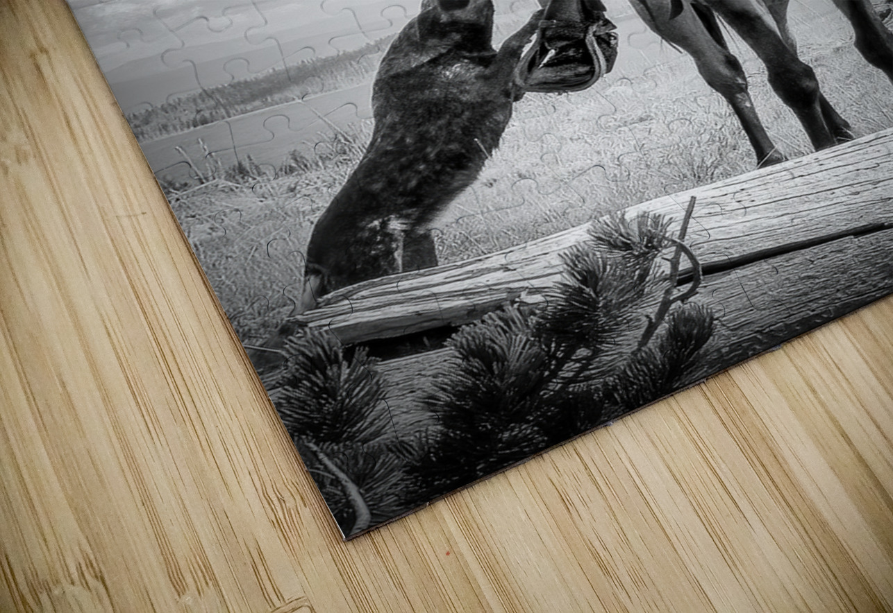 Lone Figure on Trail Ride Shelia Hunt Photography Puzzle