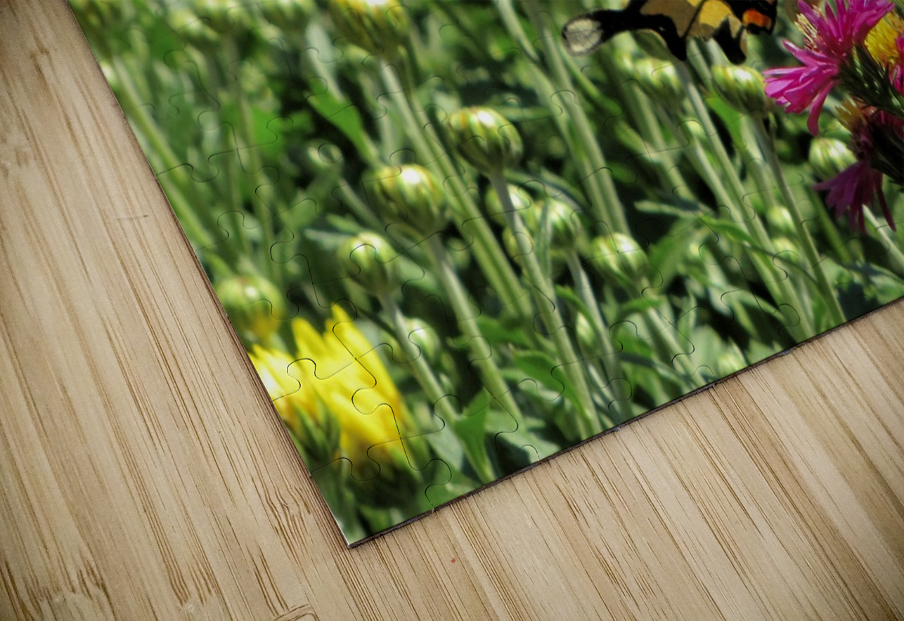 017 Sheela Balcome Puzzle